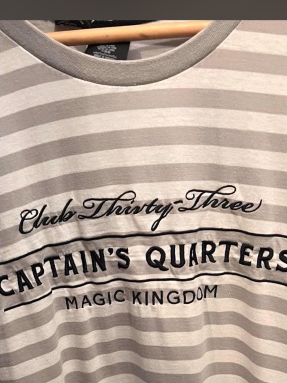 Disney Men's Short Sleeve Striped Crewneck Tee - Gray & White